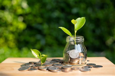 what percentage of a nonprofit budget should be fundraising|What percentage of your nonprofit budget should salaries and.